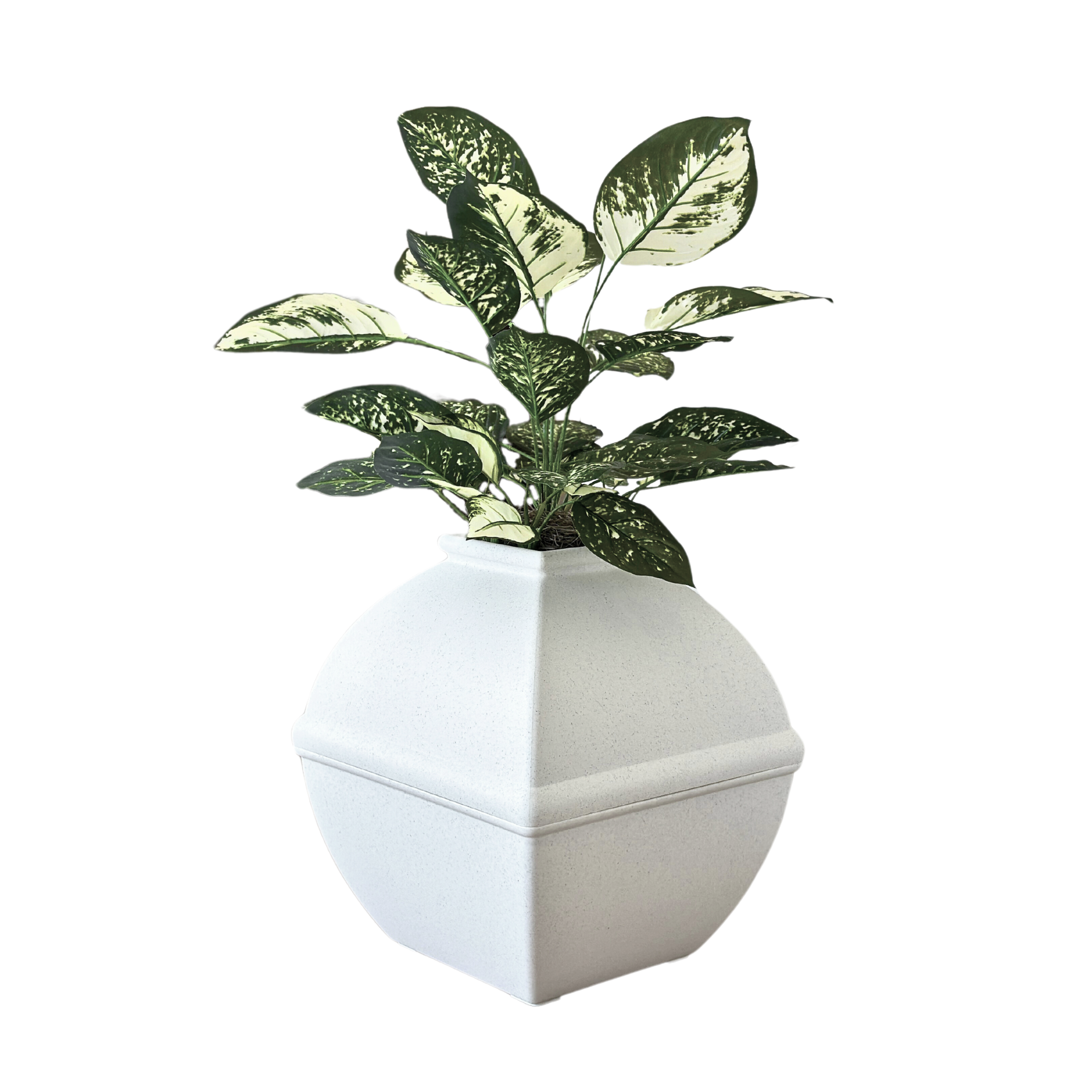 dieffenbachia artificial plant Dieffenbachia (Artificial/Faux)