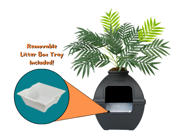 cat litter in plant pots Courtyard Hidden Litter Box Essentials Kit Black Suede