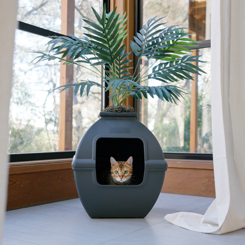 Hidden Litter Box Planter Base Kits