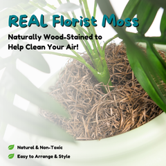 Original Essentials Kit Seagrass Green