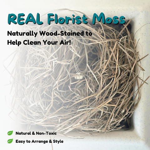 Hidden Litter Box Planter Base Kits