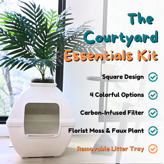 Courtyard Essentials Kit White Birch