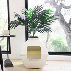 Courtyard Essentials Kit White Birch