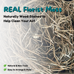 Hidden Litter Box Planter Essentials Kits