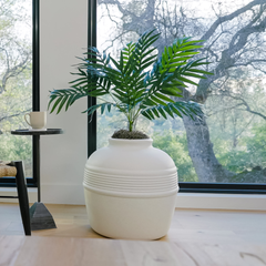 Original Essentials Kit White Birch
