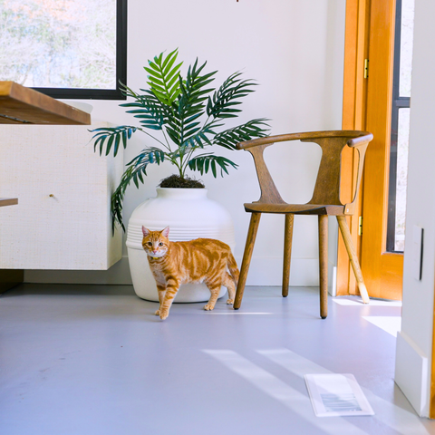 Original Hidden Litter Box Essentials Kit White Birch