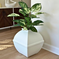 Hidden Litter Box Planter Essentials Kits