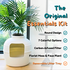 Original Essentials Kit White Birch