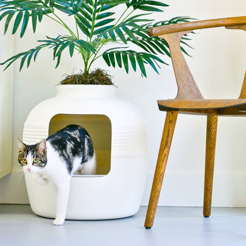 Hidden Litter Box Planter Base Kits