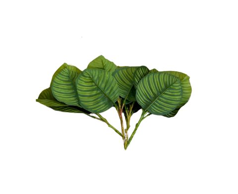 Fiddle-Leaf Fig (Artificial/Faux)