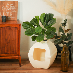 Courtyard Essentials Kit White Birch