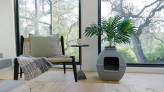 Hidden Litter Box Planter Essentials Kits