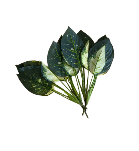 Dieffenbachia (Artificial/Faux)