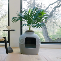 Hidden Litter Box Planter Essentials Kits