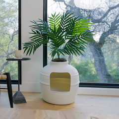 Hidden Litter Box Planter Essentials Kits