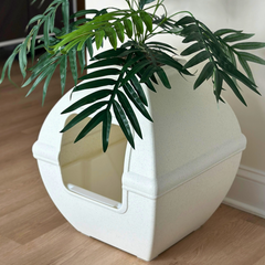 Courtyard Essentials Kit White Birch