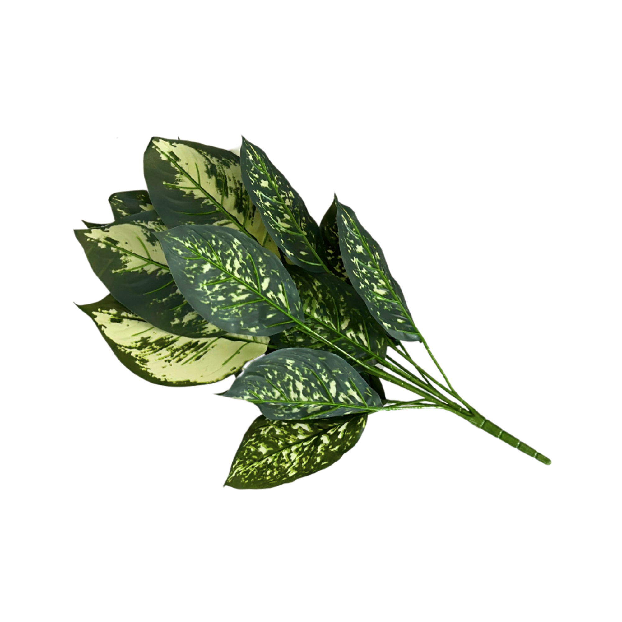 faux dieffenbachia Dieffenbachia (Artificial/Faux) – Good Pet Stuff Co