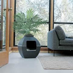 Courtyard Essentials Kit Black Suede