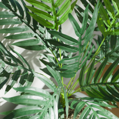 Palm Plant (Artificial/Faux)