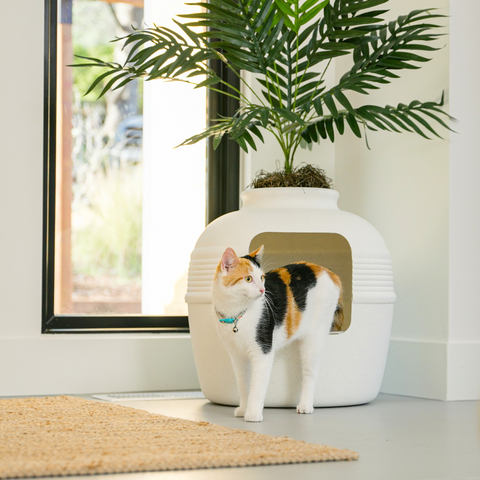 Original Hidden Litter Box Base Kit White Birch