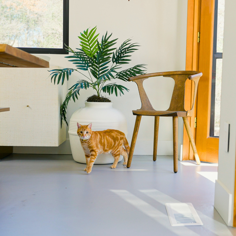Original Hidden Litter Box Base Kit White Birch