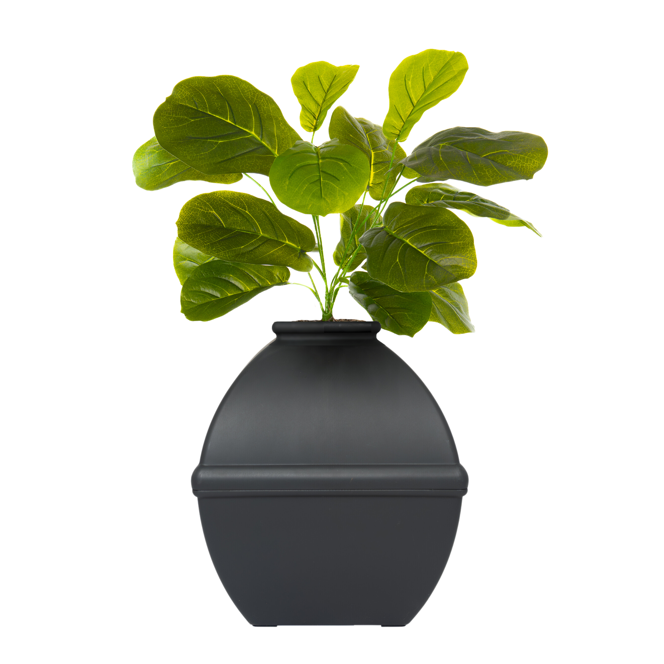 fiddle leaf fig plastic Fiddle-Leaf Fig (Artificial/Faux) – Good Pet Stuff Co
