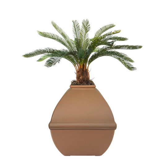 Cycas (Artificial/Faux)
