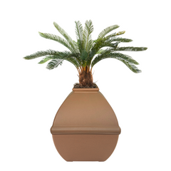 Cycas (Artificial/Faux)