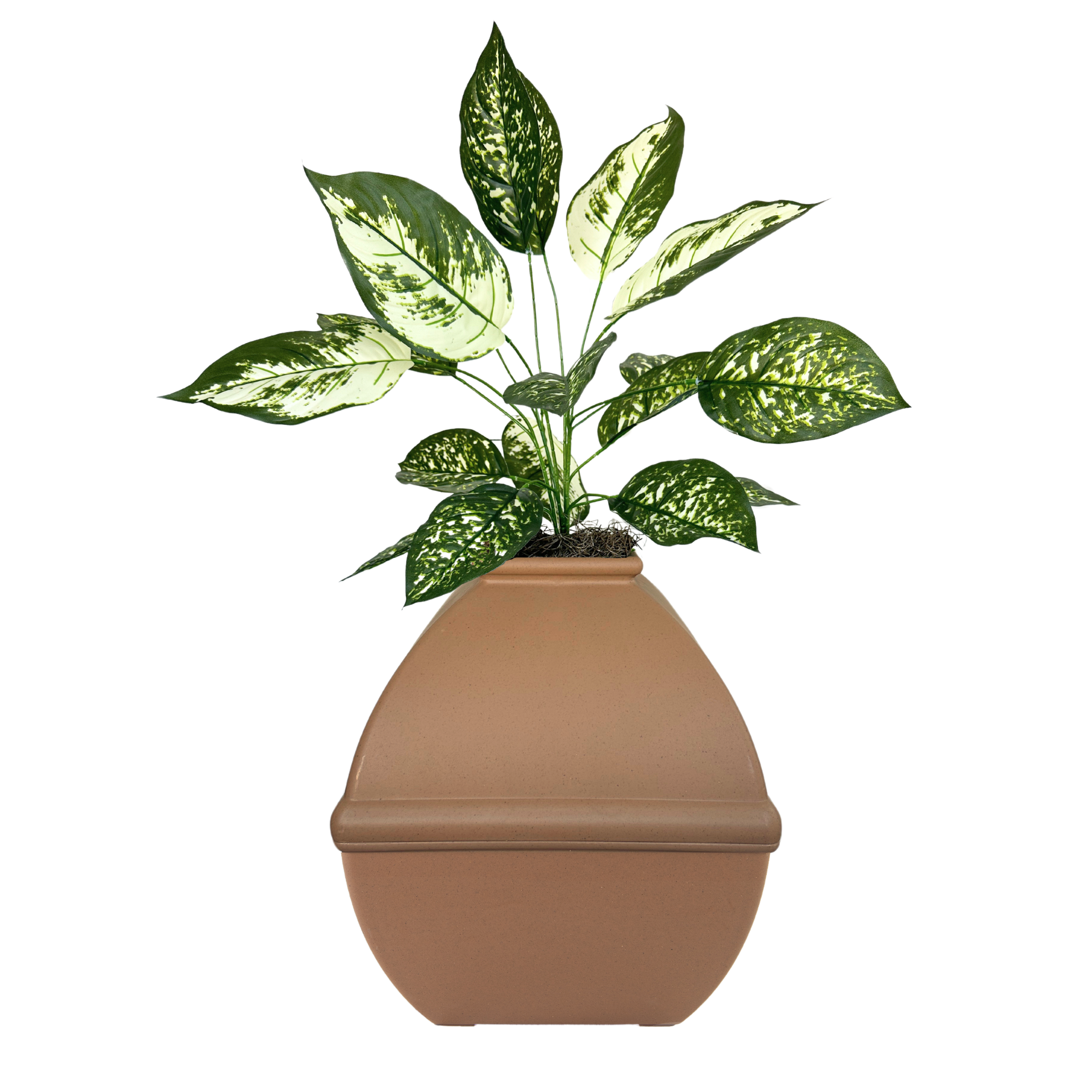 dieffenbachia artificial Dieffenbachia (Artificial/Faux) – Good Pet Stuff Co