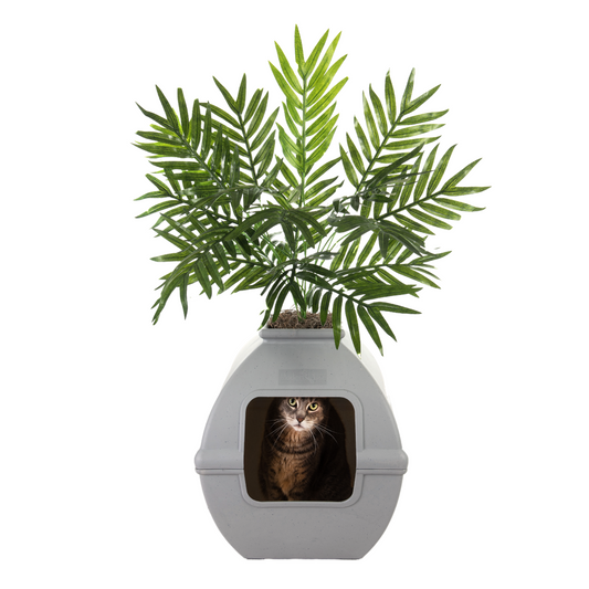 Courtyard Litter Box Stone Gray