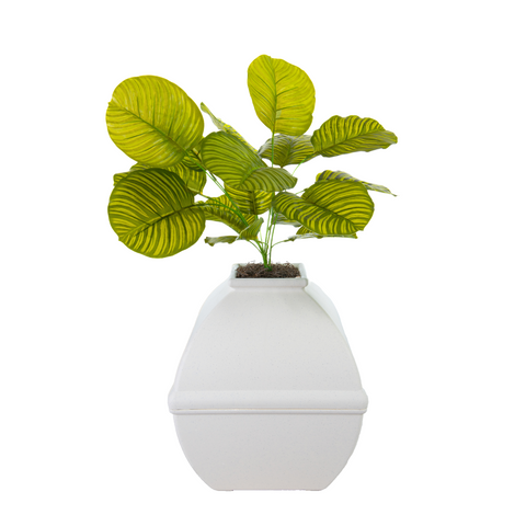 Hidden Litter Box Planter Base Kits