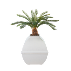 Cycas (Artificial/Faux)