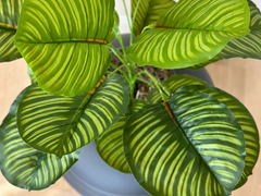 Hidden Litter Box Planter Essentials Kits