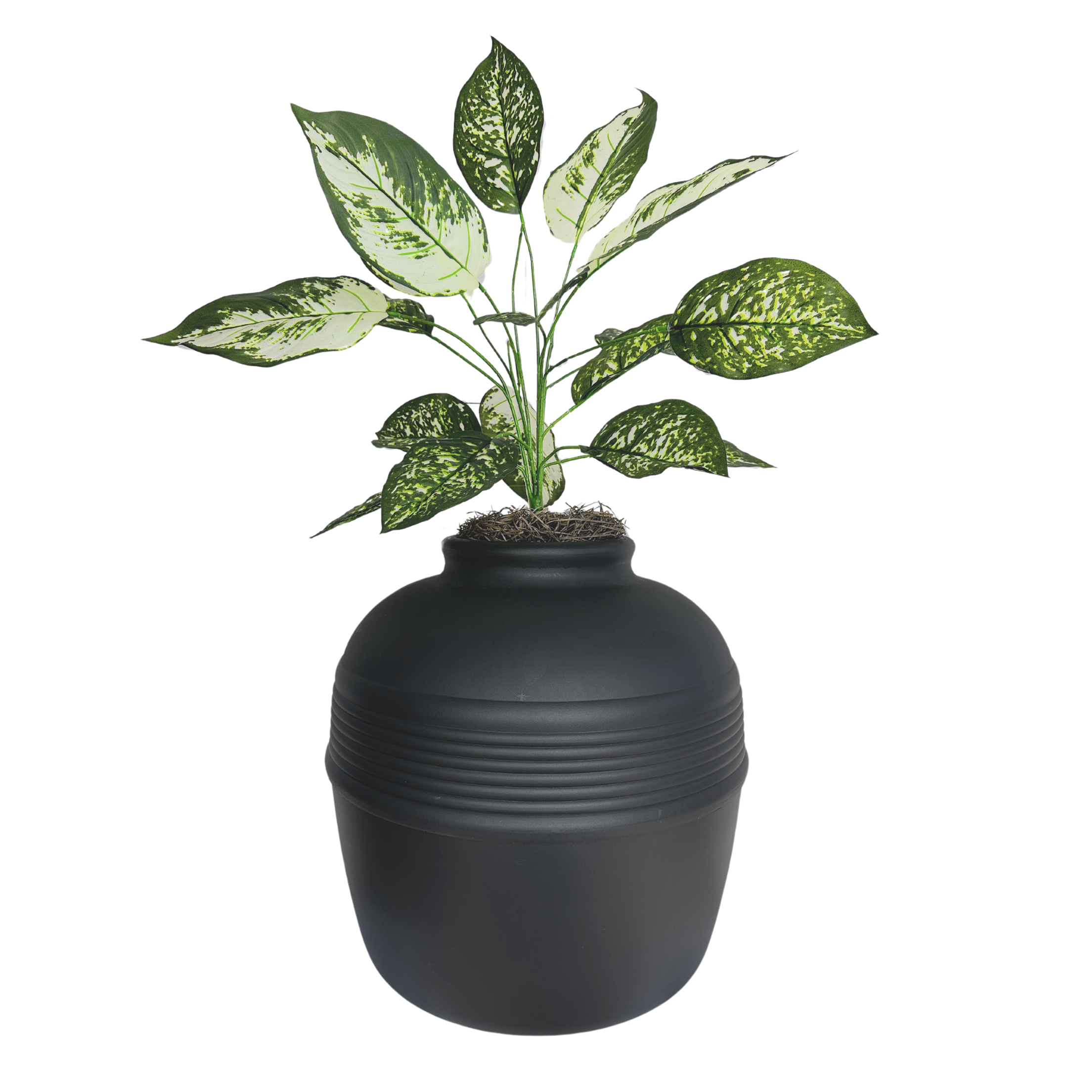 dieffenbachia plant and pets Dieffenbachia (Artificial/Faux) – Good Pet Stuff Co