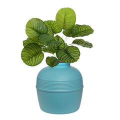 Original Essentials Kit Caribbean Blue
