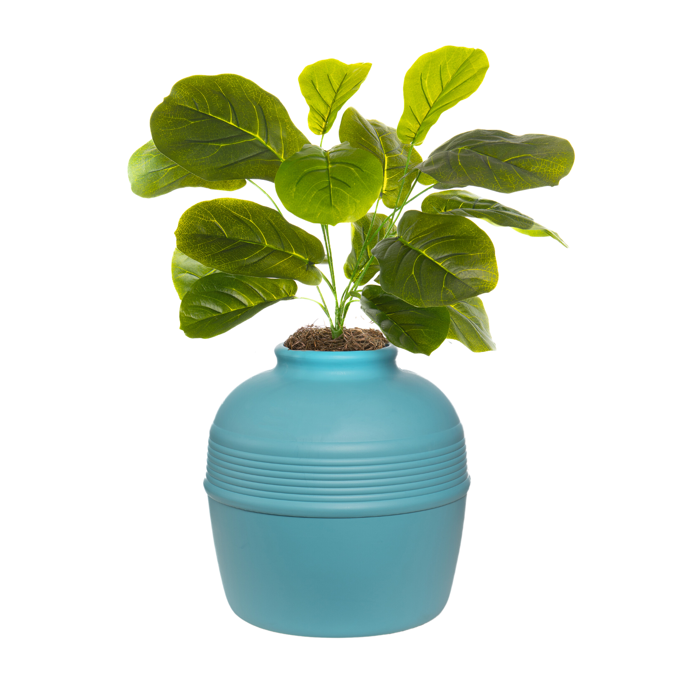 indoor planter for fiddle leaf fig Fiddle-Leaf Fig (Artificial/Faux) – Good Pet Stuff Co