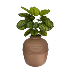 Hidden Litter Box Planter Essentials Kits