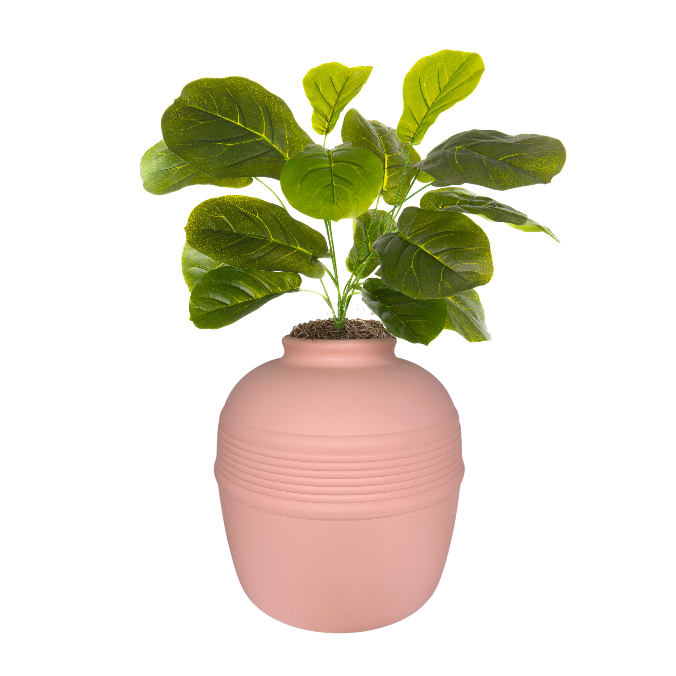 pink fiddle leaf fig Fiddle-Leaf Fig (Artificial/Faux) – Good Pet Stuff Co