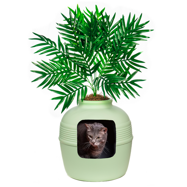 Palm tree litter box hot sale