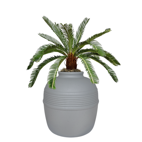 Hidden Litter Box Planter Base Kits