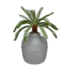 Cycas (Artificial/Faux)
