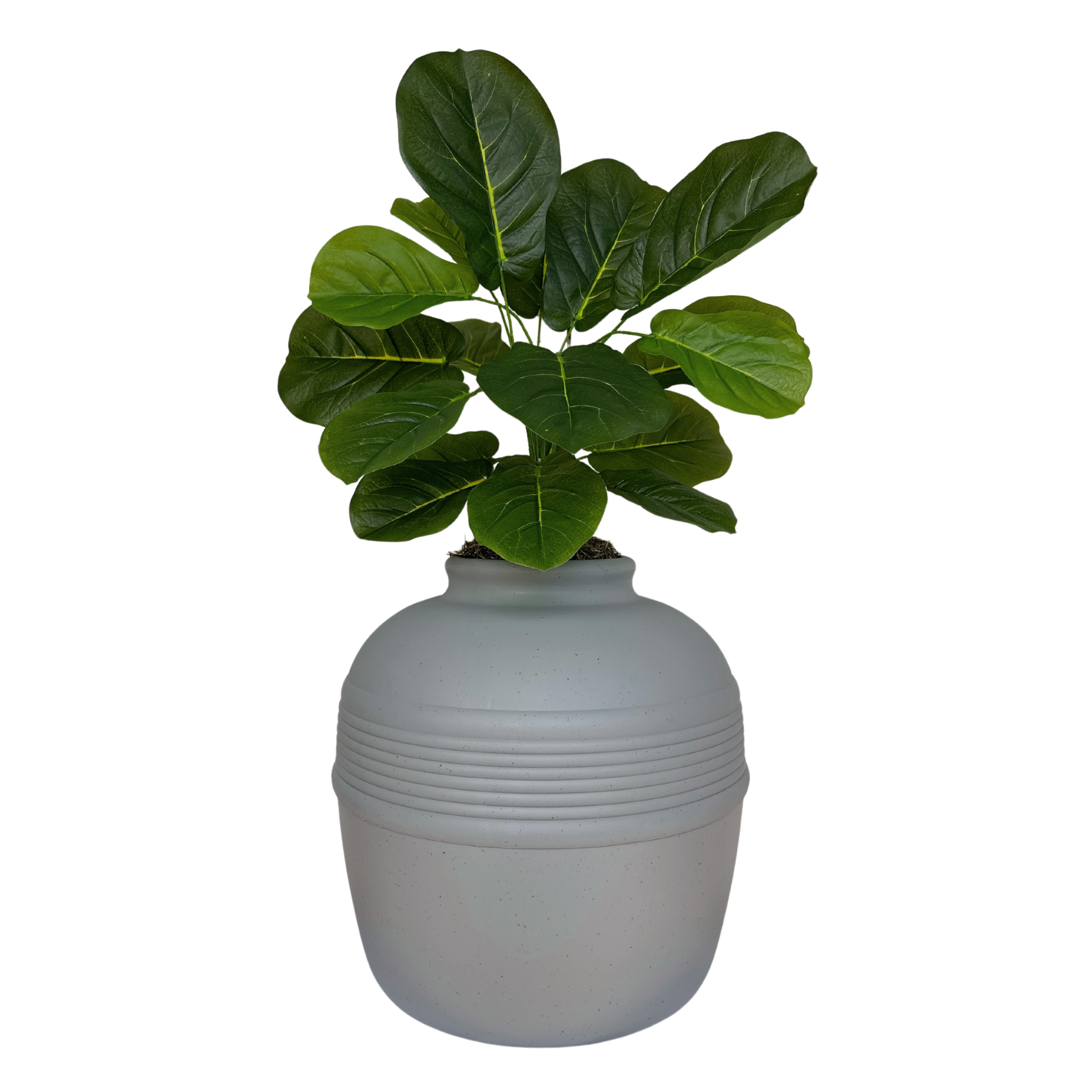 fiddle leaf fig stone Fiddle-Leaf Fig (Artificial/Faux) – Good Pet Stuff Co