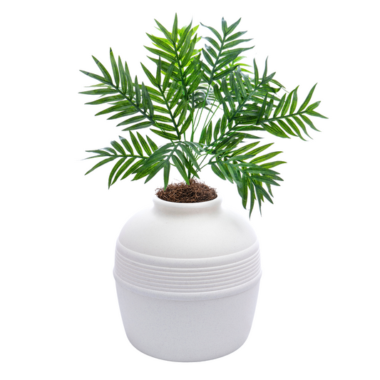 Original Essentials Kit White Birch