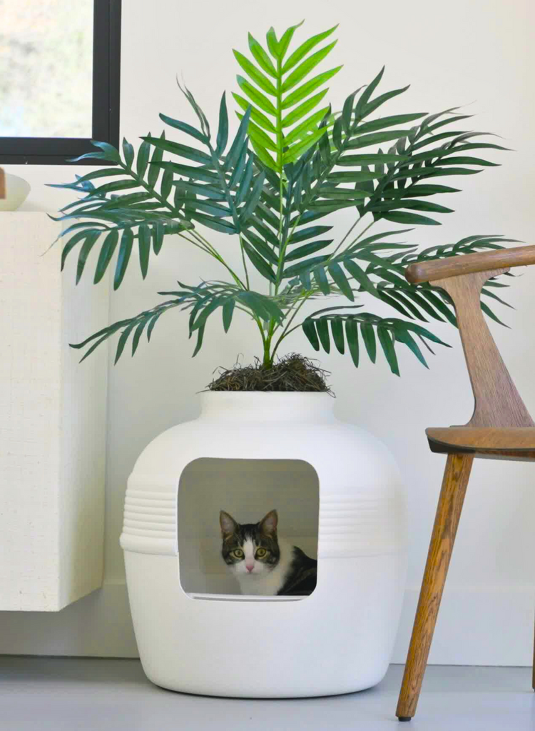 Good pet stuff hidden litter litter box online