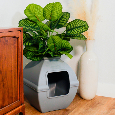 Hidden Litter Box Planter Base Kits