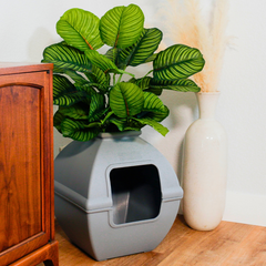 Hidden Litter Box Planter Essentials Kits