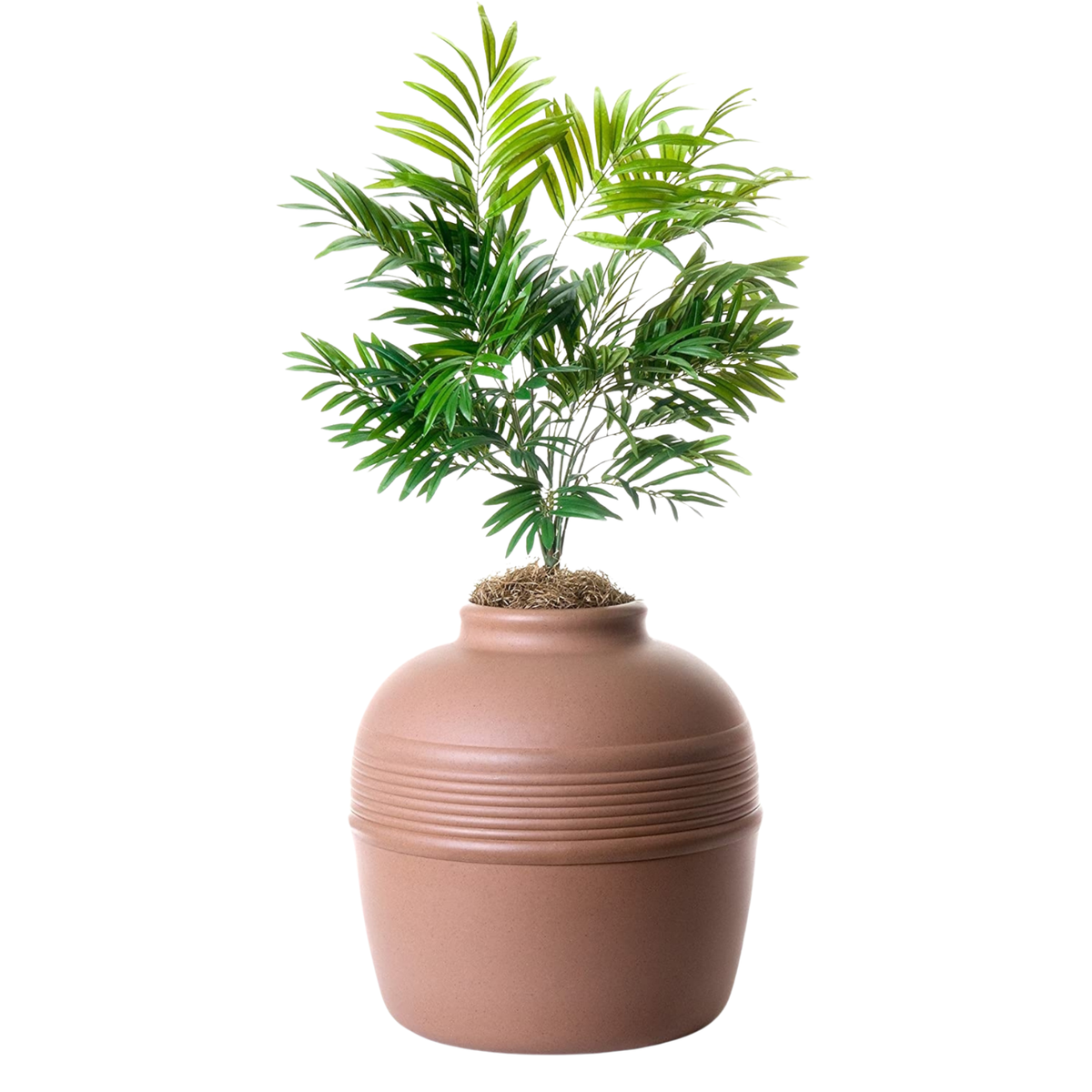 Original Hidden Litter Box Planter Kit