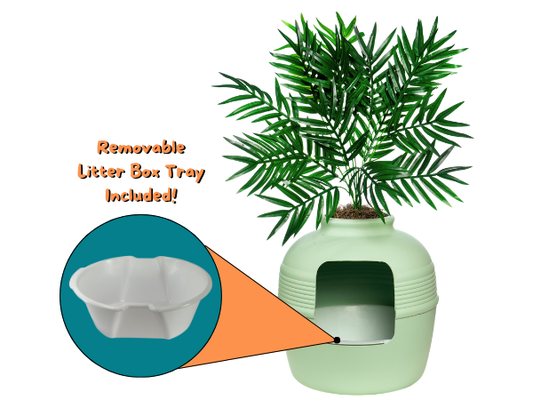 Original Essentials Kit Seagrass Green